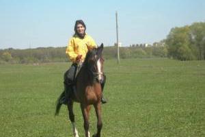 Уроки верховой езды, конные прогулки Город Уфа