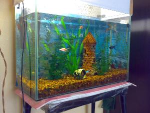 Продается аквариум 60 литров Город Уфа 20022012023.jpg