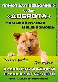 Доброта, общественный фонд защиты животных - Город Уфа