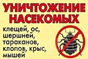 Уничтожение тараканов и клопов, муравьев. Дезинфекция и фумигация Город Уфа