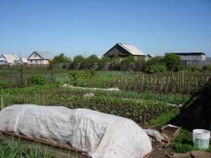 Продам дом в Оренбургской области в с. Пономарёвка Город Уфа DSC043551.JPG