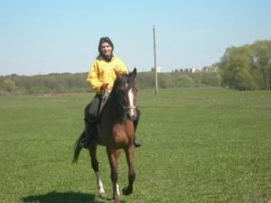 Уроки верховой езды, конные прогулки Город Уфа DSCN0105.JPG